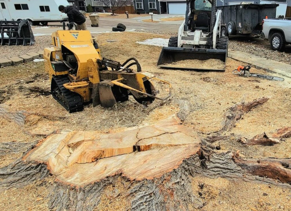 stump grinding