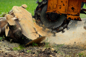 stump grinder removal